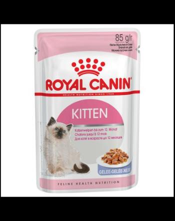 Royal Canin Kitten Instinctive In Jelly hrana umeda in aspic pentru pisica, 12 x 85 g