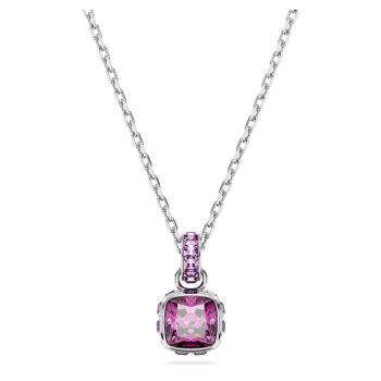 Swarovski Colier potrivit pentru femeile născute în februarie Birthstone 5651708