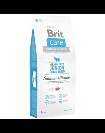 BRIT Care Grain-Free Junior L Salmon &amp; Potato 12 kg