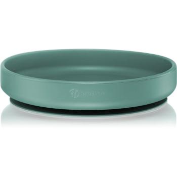 Petite&Mars Take&Match Silicone Plate farfurie cu ventuză Misty Green 6 m+ 1 buc