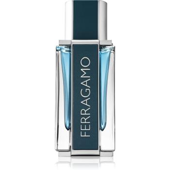 Salvatore Ferragamo Intense Leather Eau de Parfum pentru bărbați 50 ml
