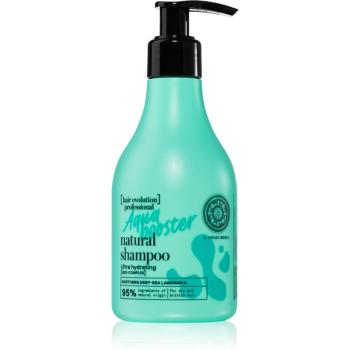 Natura Siberica Hair Evolution Aqua Booster sampon de regenerare si hidratare pentru parul fragil, lipsit de strălucire 245 ml