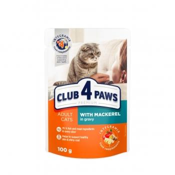 CLUB 4 PAWS Premium, Macrou, plic hrană umedă pisici, (în sos), 100g 