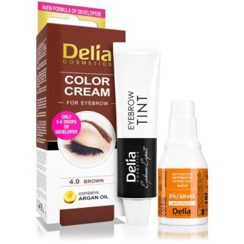 Delia Cosmetics Argan Oil culoare pentru sprancene culoare 4.0 Brown 15 ml
