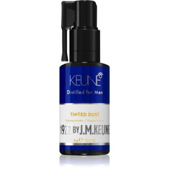 Keune 1922 Tinted Dust pudră pentru păr pentru volum și acoperirea firelor albe 6 g