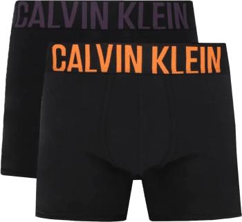 Calvin Klein 2 PACK - boxeri pentru bărbați NB2599A-GXL M