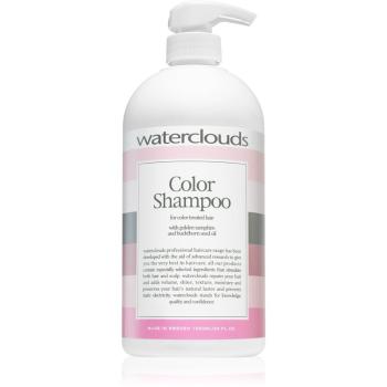 Waterclouds Color sampon pentru protectia culorii 1000 ml