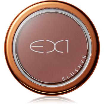 EX1 Cosmetics Blusher blush culoare Jet Set Glow 3 g