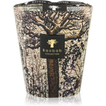 Baobab Collection Sacred Trees Morondo lumânare parfumată 16 cm