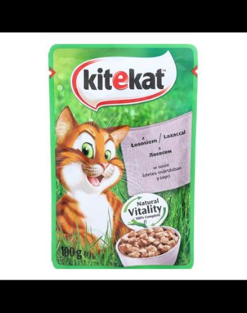 KITEKAT Hrană umedă pentru pisici somon în sos 24 x 100 g