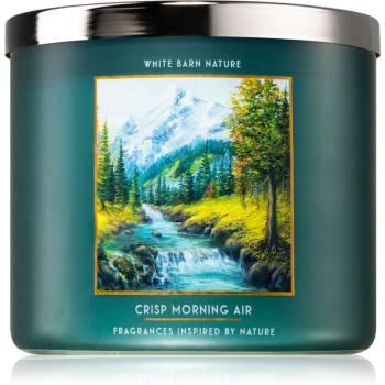 Bath & Body Works Crisp Morning Air lumânare parfumată 411 g