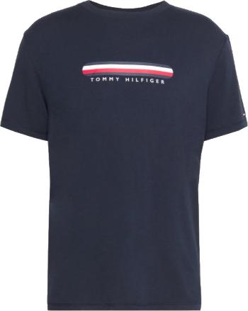 Tommy Hilfiger Tricou pentru bărbați Regular Fit UM0UM02348-DW5 L