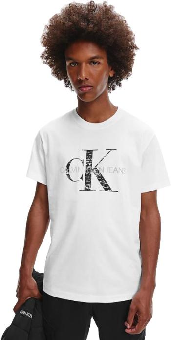 Calvin Klein Tricou pentru bărbați Regular Fit J30J318723YAF M