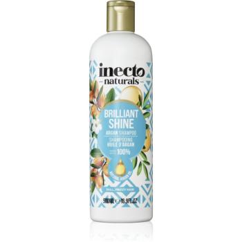 Inecto Argan șampon pentru un par stralucitor si catifelat 500 ml