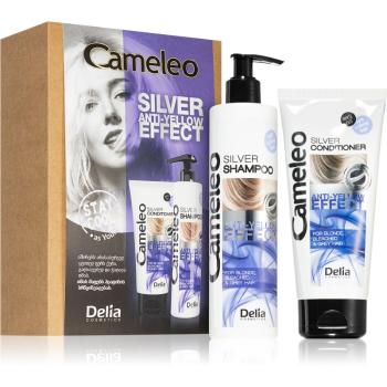 Delia Cosmetics Cameleo Anti-Yellow Effect set cadou (pentru părul blond şi gri)