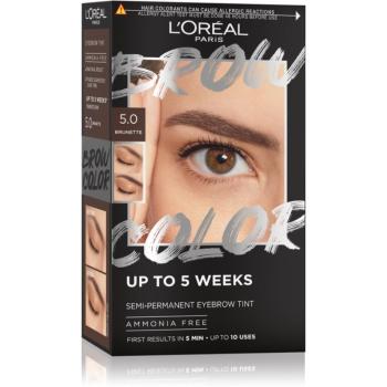 L’Oréal Paris Brow Color culoare pentru sprancene culoare 5.0 Brunette 1 buc