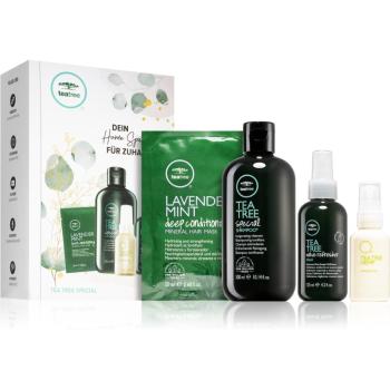 Paul Mitchell Tea Tree set (pentru par ondulat si cret)