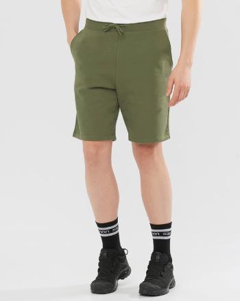 Salomon Outlife Pantaloni scurți Verde