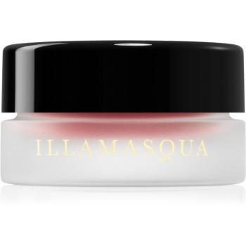 Illamasqua Colour Veil blush cremos culoare Frisson 4,5 ml