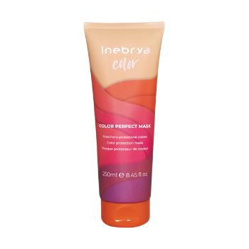 Inebrya Mască de protecție pentru păr vopsit Color Perfect (Hair Mask) 250 ml