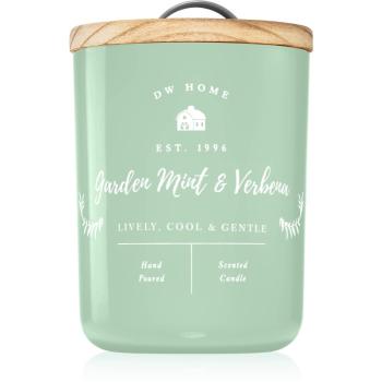 DW Home Farmhouse Garden Mint & Verbena lumânare parfumată 425 g