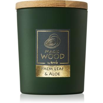 Krab Magic Wood Palm Leaf & Aloe lumânare parfumată 300 g