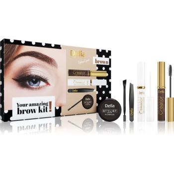 Delia Cosmetics Eyebrow Expert Brown set cadou V. (pentru sprancene) pentru femei