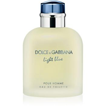 Dolce & Gabbana Light Blue Pour Homme Eau de Toilette pentru bărbați 125 ml