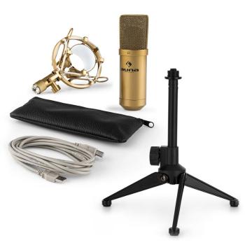 Auna MIC-900G V1, set de microfon usb, microfon condensator auriu + suport de masă