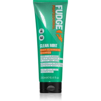 Fudge Clean Mint Shampoo șampon pentru păr gras 250 ml