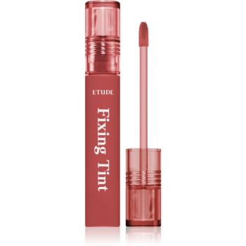 ETUDE Fixing Tint ruj cu persistență îndelungată cu efect mat culoare #06 Soft Walnut 4 g