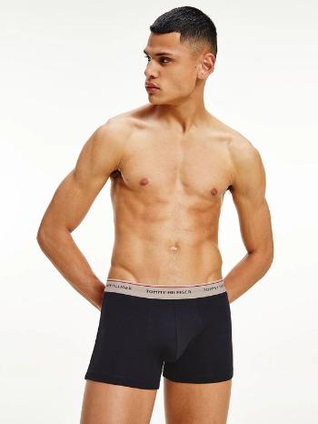 Tommy Hilfiger Underwear Boxeri Albastru