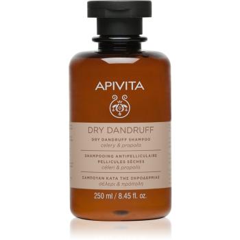 Apivita Dandruff Dry Dandruff Shampoo sampon anti-matreata 250 ml