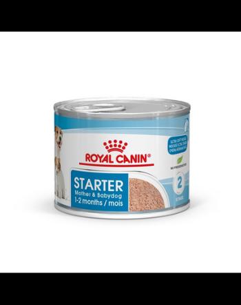 ROYAL CANIN Starter Mousse Mother &amp; Babydog 24x195 g mousse, pentru cățele în timpul sarcinii, alăptării și cățeilor