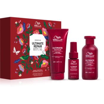 Wella Professionals Ultimate Repair Set set cadou Spring(pentru par deteriorat)