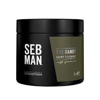 Sebastian Professional Pomadă pentru păr SEB MAN The Dandy (Shiny Pommade) 75 ml