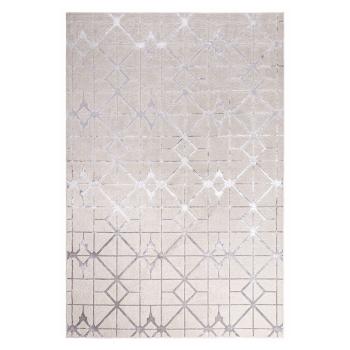 Covor roz-argintiu 230x160 cm Aurora - Asiatic Carpets