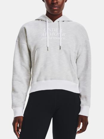 Under Armour Essential Script Hoodie Hanorac Gri