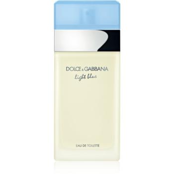 Dolce & Gabbana Light Blue Eau de Toilette pentru femei 100 ml