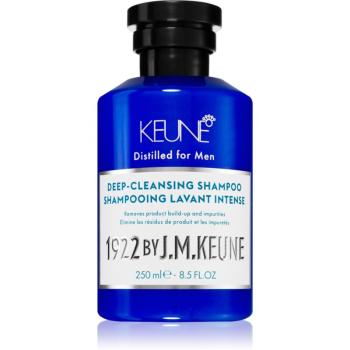 Keune 1922 Deep-Cleansing Shampoo curatarea profunda a scalpului 250 ml