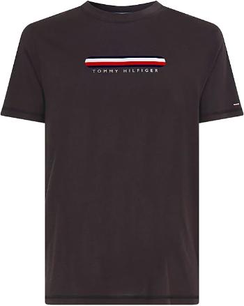 Tommy Hilfiger Tricou pentru bărbați Regular FitUM0UM02348-BDS L