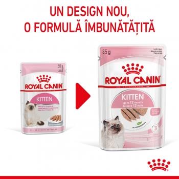 ROYAL CANIN Kitten, plic hrană umedă pisici, (pate), 85g