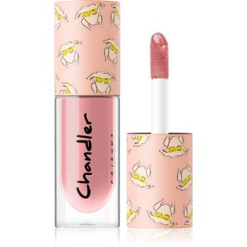 Makeup Revolution X Friends lip gloss culoare Chandler 4.6 ml