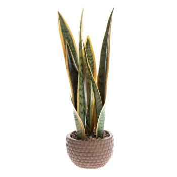 Plantă artificială (înălțime 35 cm) – Dakls