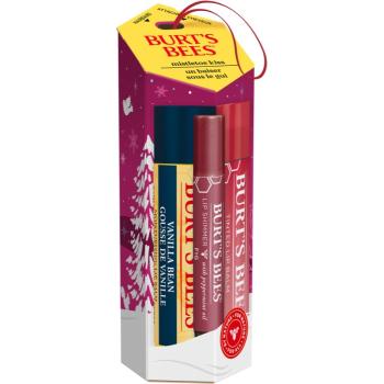 Burt’s Bees Festive Mistletoe Kiss set cadou (de buze)