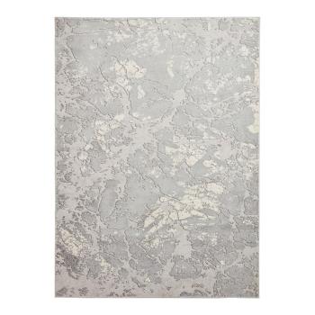 Covor gri deschis/crem 200x290 cm Apollo – Think Rugs