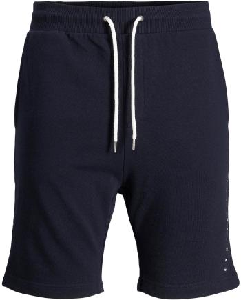 Jack&Jones PLUS Pantaloni scurți pentru bărbați JJIFONT 12205466 Navy Blazer 40