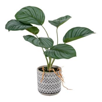 Plantă artificială (înălțime 32 cm) Maranta – Ixia