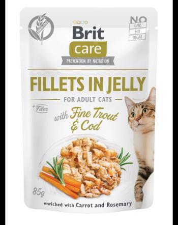 BRIT Care Cat Fillets in Jelly hrana umeda pentru pisici, cu pastrav fin si cod, 85 g