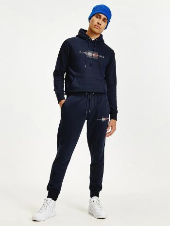 Tommy Hilfiger Lines Sweatpant Pantaloni de trening Albastru